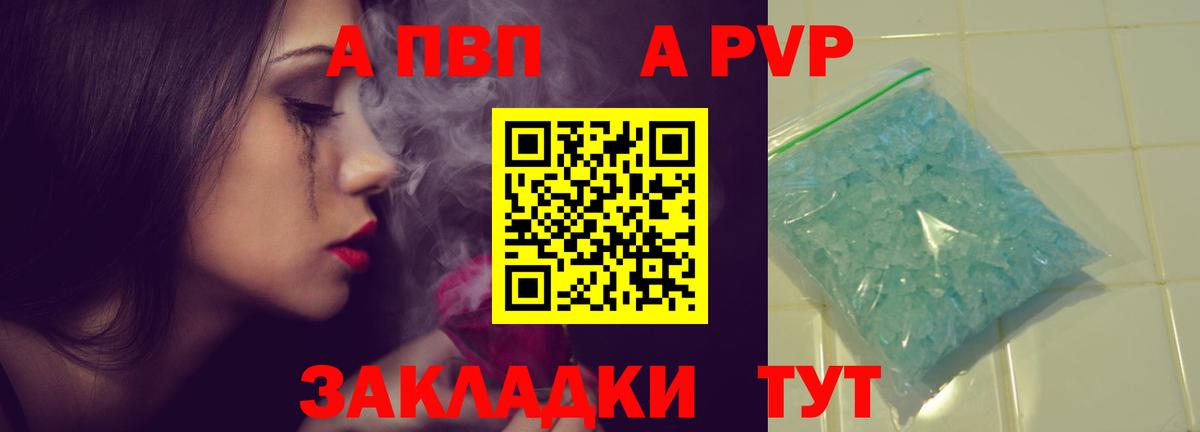 Alfa_PVP СК Рязань