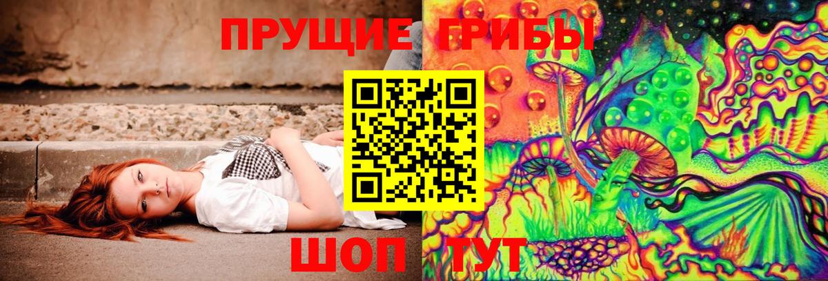 Галлюциногенные грибы MAGIC MUSHROOMS  Псилоцибиновые грибы Psilocybe  Вход с VPN  Рязань 